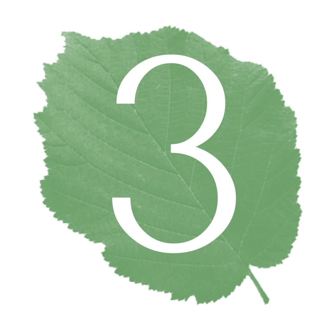 300+万㎡原始森林秘境，天河就有