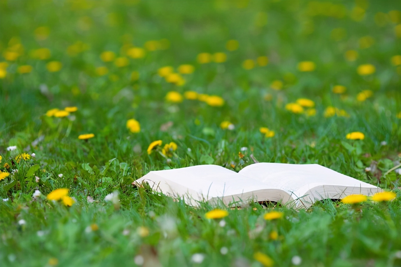 如何读懂读透一本书,高效读懂一本书的技巧