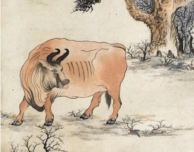 所谓白马怕青牛马跟牛真的不好吗,古语说白马不能见青牛是啥意思啊