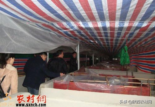 农村创业点子100例,白手起家创业点子穷人致富推荐