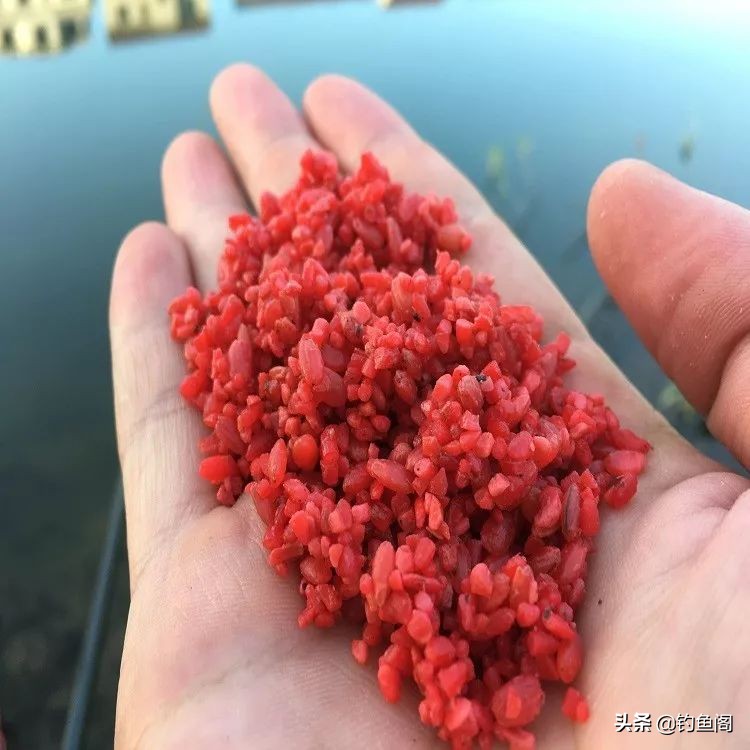 秋高气爽的天气怎样钓好鱼,夏天天气很热鱼怎么钓最好