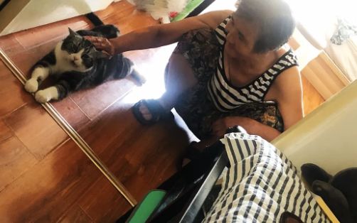 养猫后儿子鼻过敏，妈妈心生一计：不如你搬出去住吧！