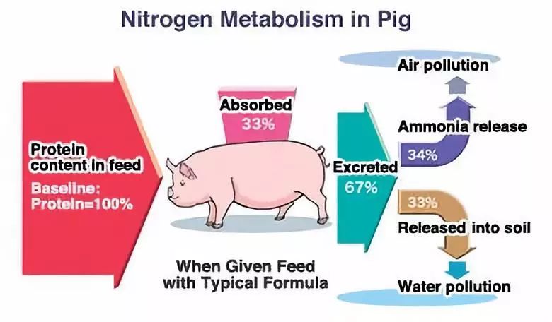 蛋白酶到底有没有效果,各种蛋白酶对比
