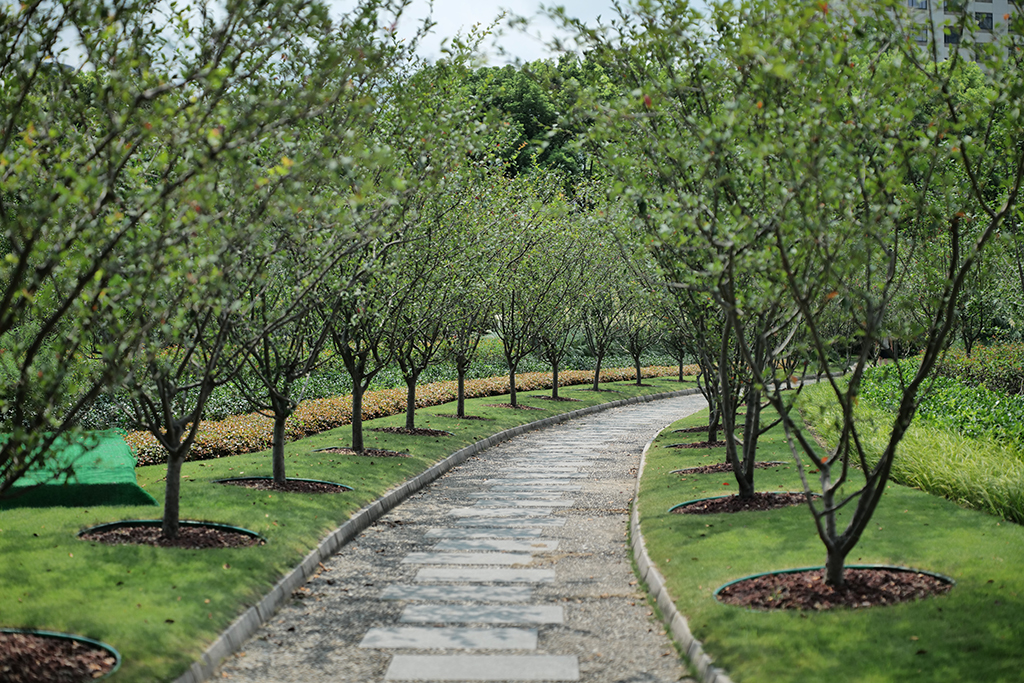 松下lumixspro50mmf1.4,松下lumixs24-105mmf4macro镜头