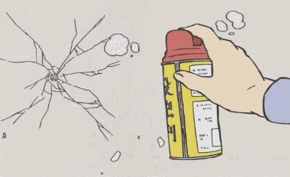 蟑螂防治带你了解不一样的蟑螂,蟑螂是家里最可怕的一种害虫