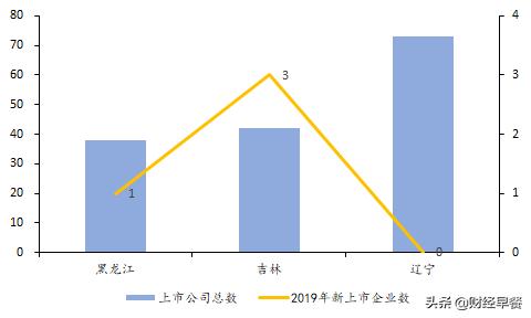 长春高新集团,长春高新企业简介