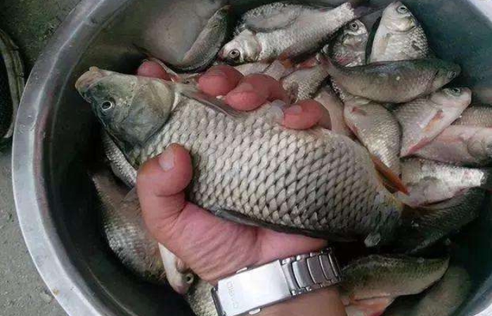 初春二月钓鱼,二月初钓鱼怎么样