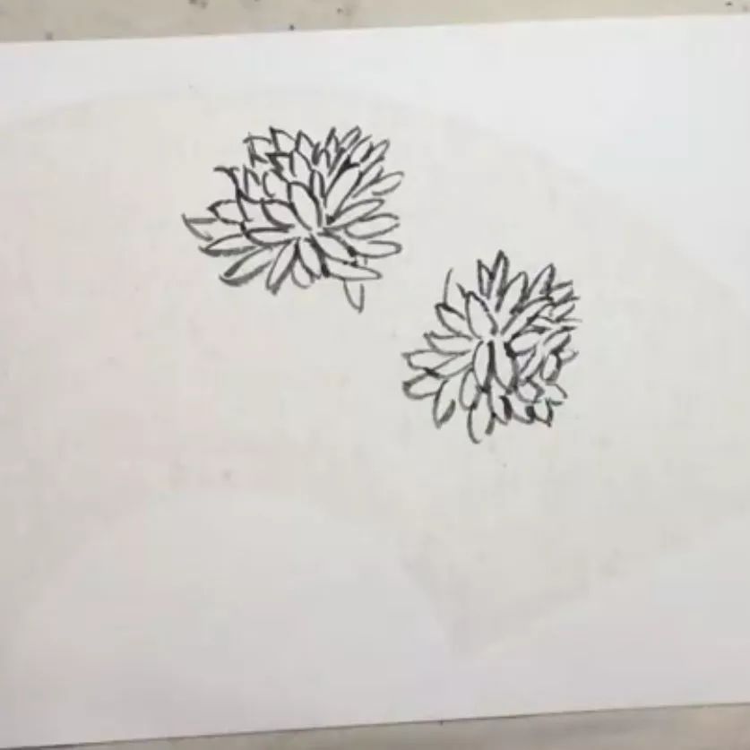 写意菊花画法图片,菊花国画写意画法视频