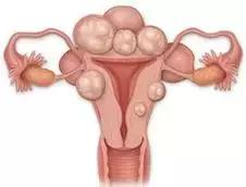 要宝宝的最佳时期,一般几月份备孕生娃好