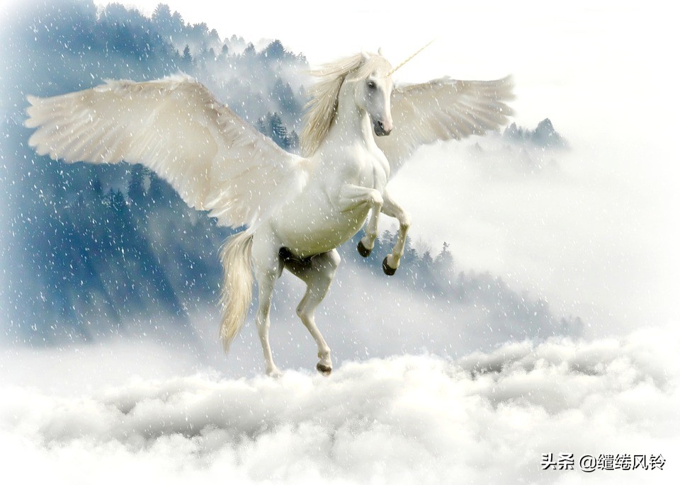 揭秘山海经的所有神兽,山海经四大神兽简介大全