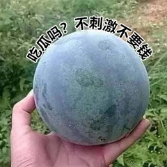 美好的一天从搬砖开始表情包,美好的一天开始了表情包