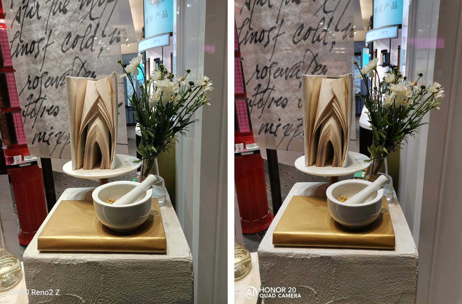 renoace拍照跟光荣20p哪个好,光荣20pro和opporeno拍照对比