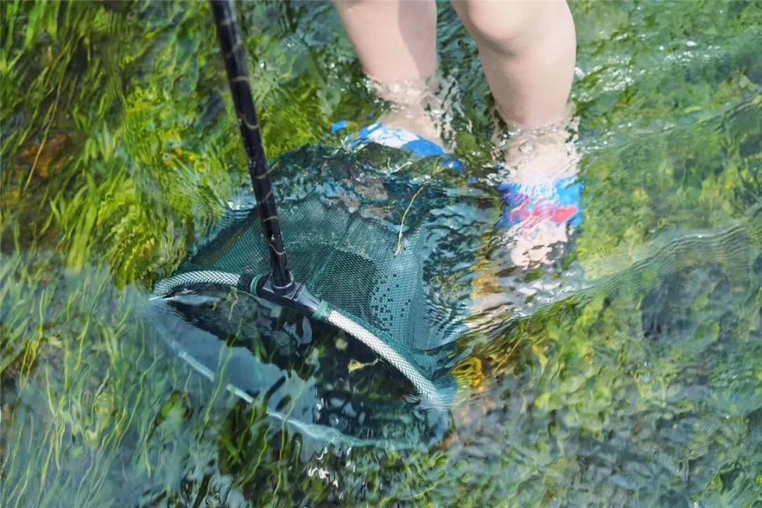 热҈热҈热҈热҈热҈！余杭超“清凉”景点集合