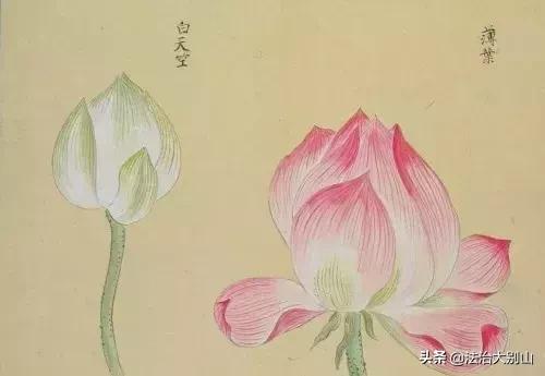 语文拓展100个容易被误用的成语,常见成语及成语误用的类型