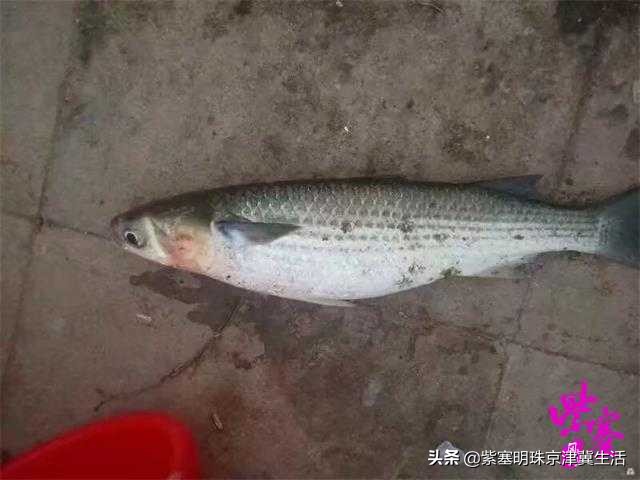 乐亭韩姐农家院价格,天津蓟县乐亭韩姐农家院