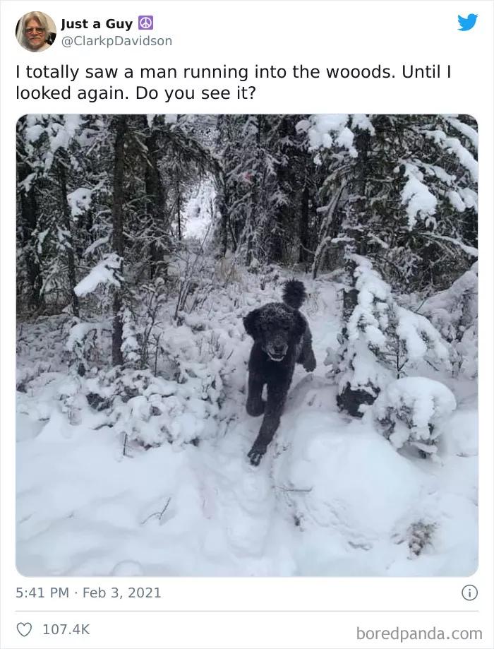 神奇的大自然巧合图片,大自然的神奇巧合惊人的史前文明