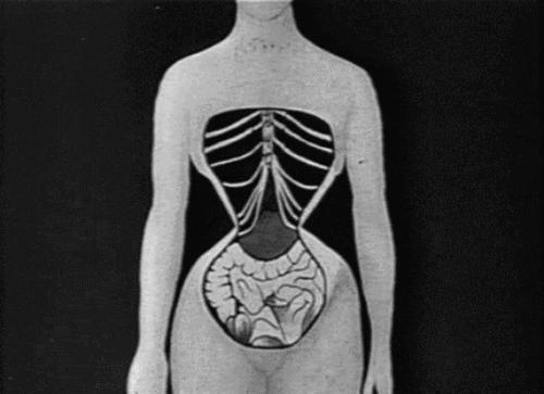 直接看呆，谁能拦住这不要命的“美”人