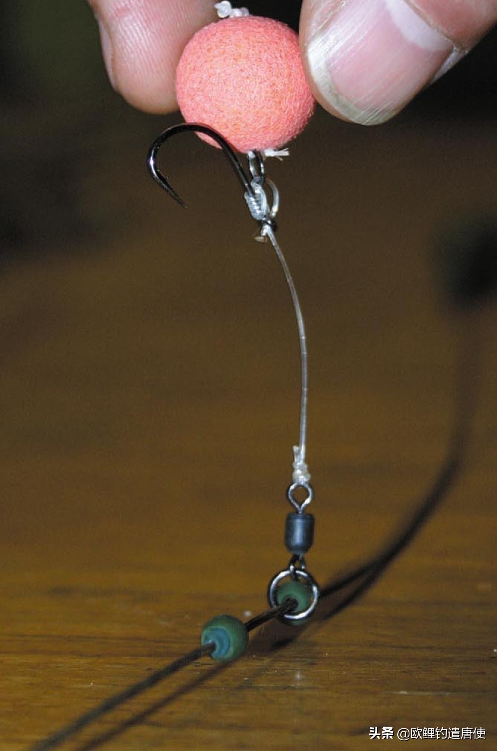 欧鲤钓钓组篇,欧鲤钓组和飞德钓组