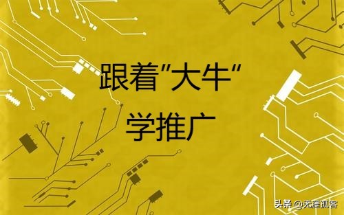比较常用的蜘蛛池是什么,蜘蛛池原理是什么样的