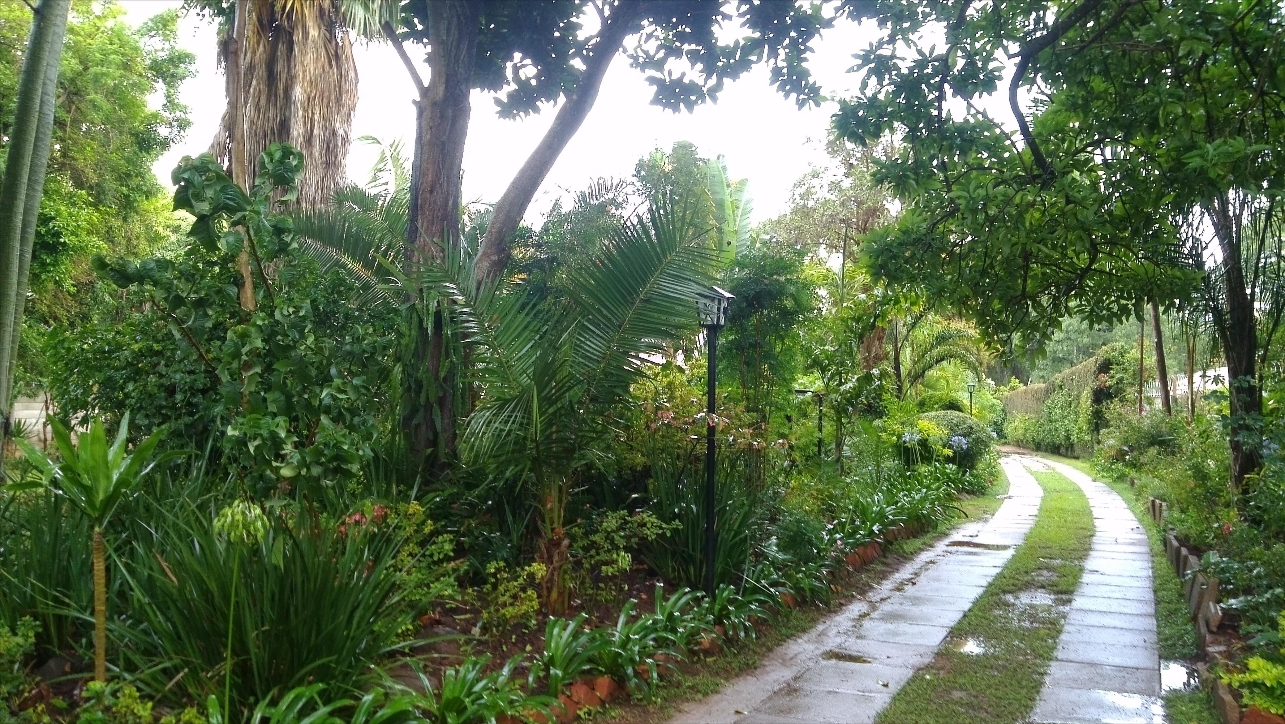 海外生活篇章第一站——非洲津巴布韦