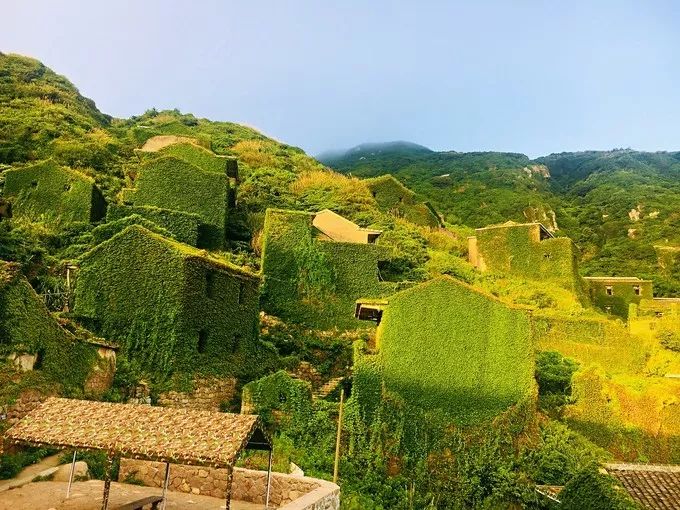 枸杞岛两天一夜最全旅游攻略,一生必去的枸杞岛