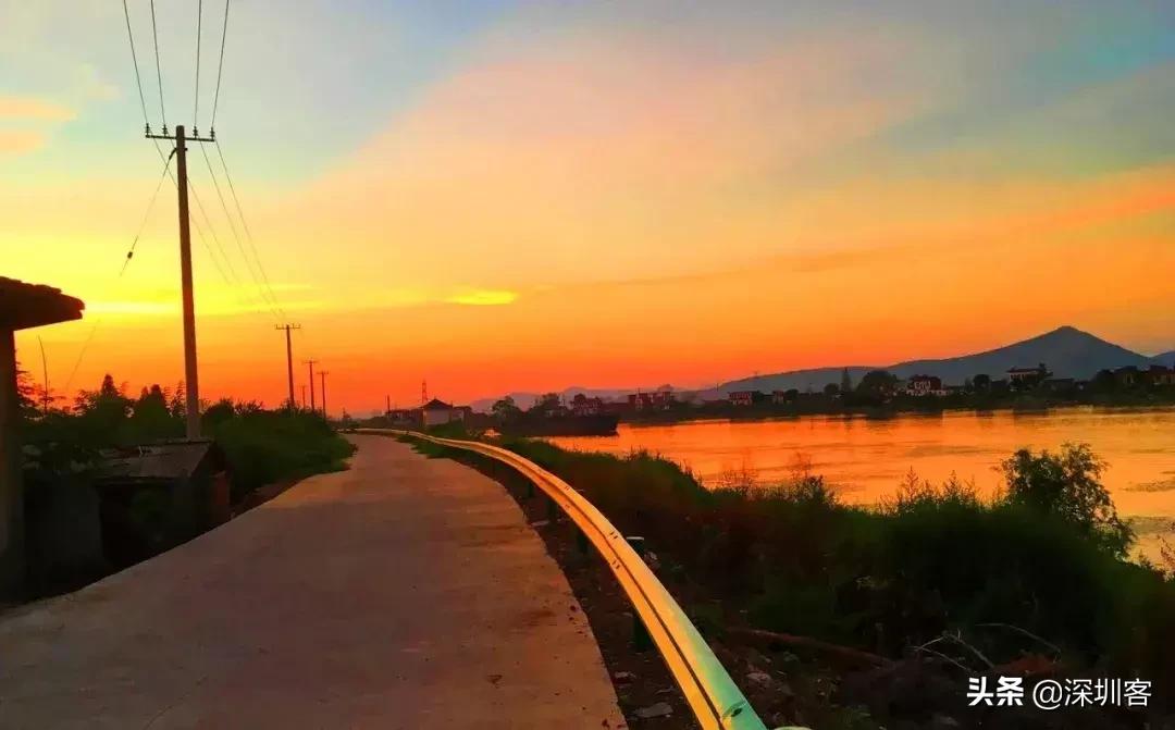 不在深圳的这七天，你水土不服了吗？
