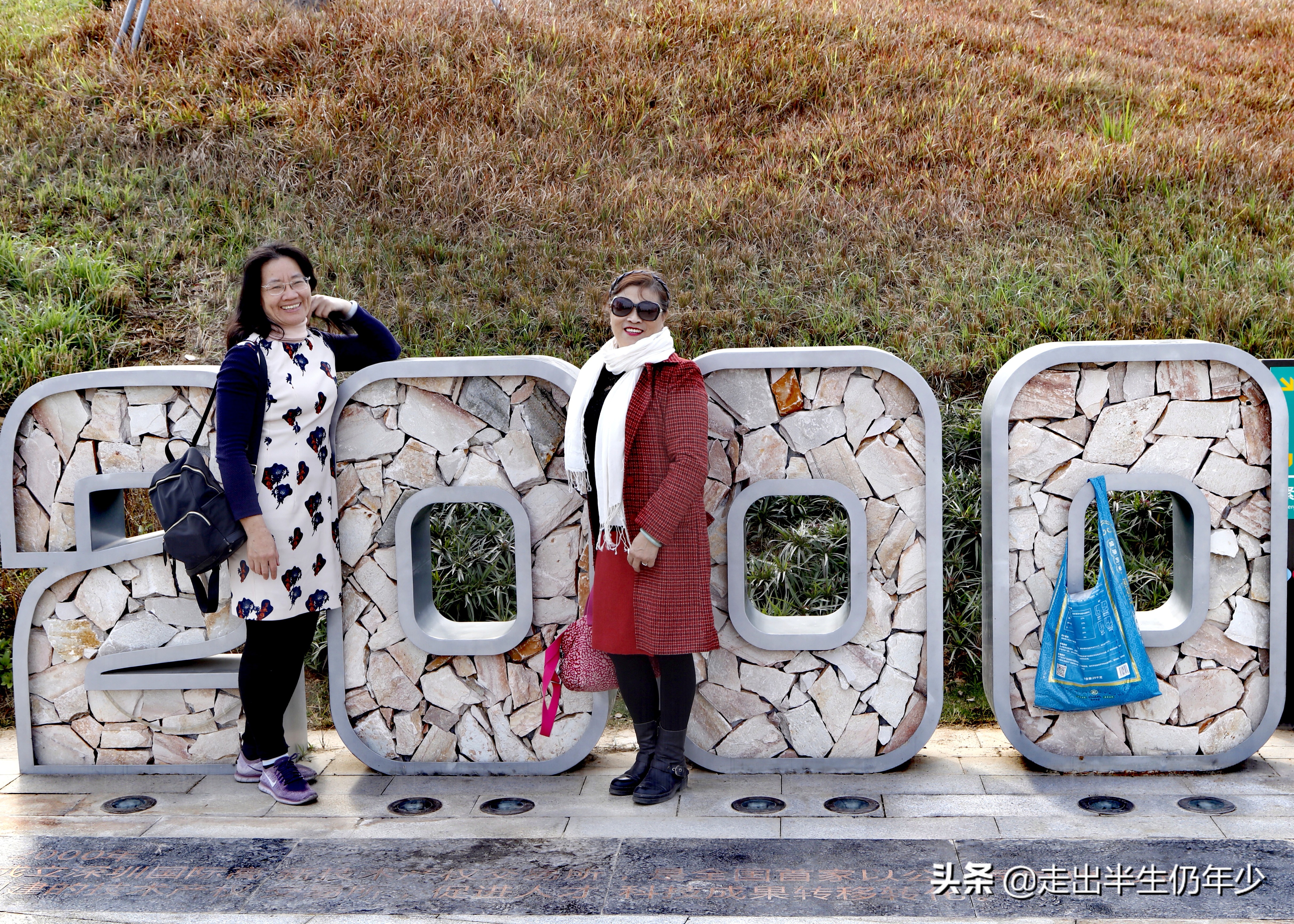 深圳有多少个公园景点,深圳室内足球场