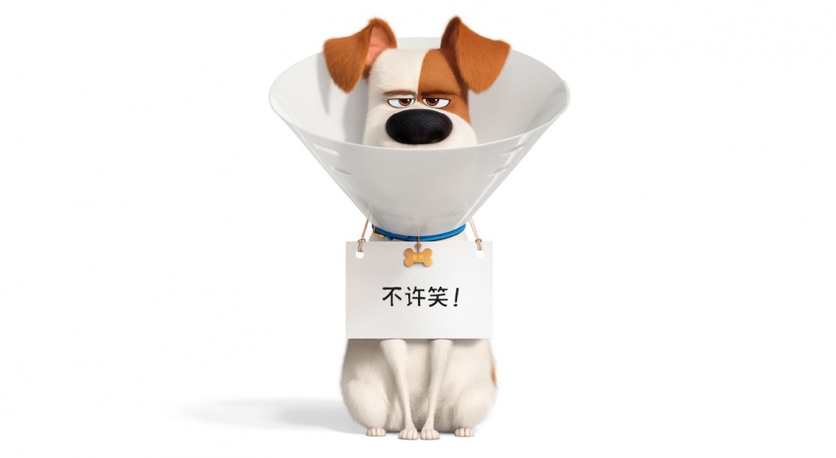 鸟人vs钢铁侠完整版,钢铁侠与鸟人