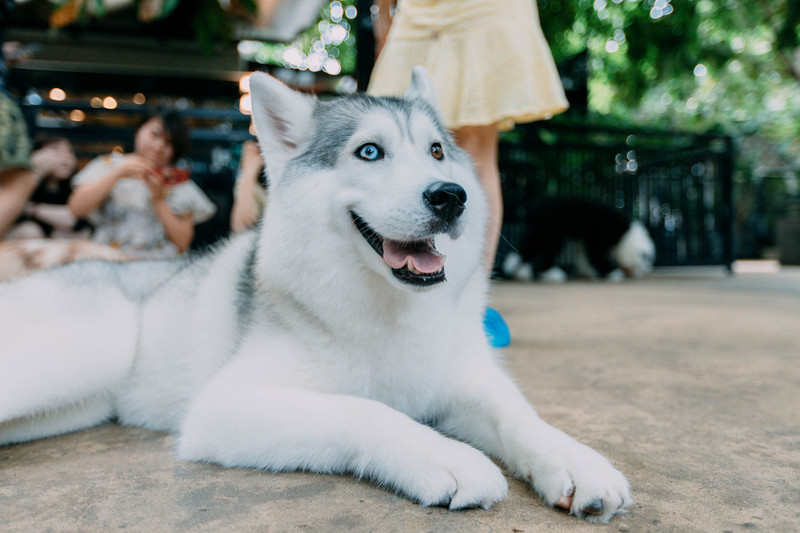 多次曼谷，整顿了这份美食攻略，曼谷怎么吃，戳进来