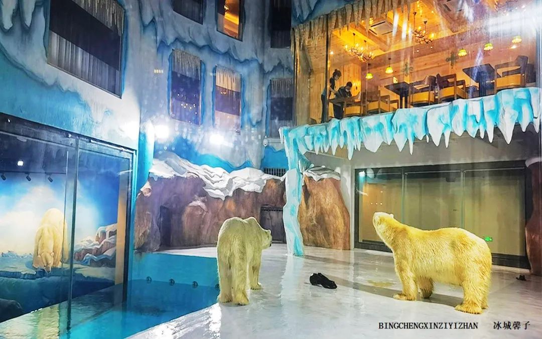 走进哈尔滨完整视频,走进哈尔滨海洋馆