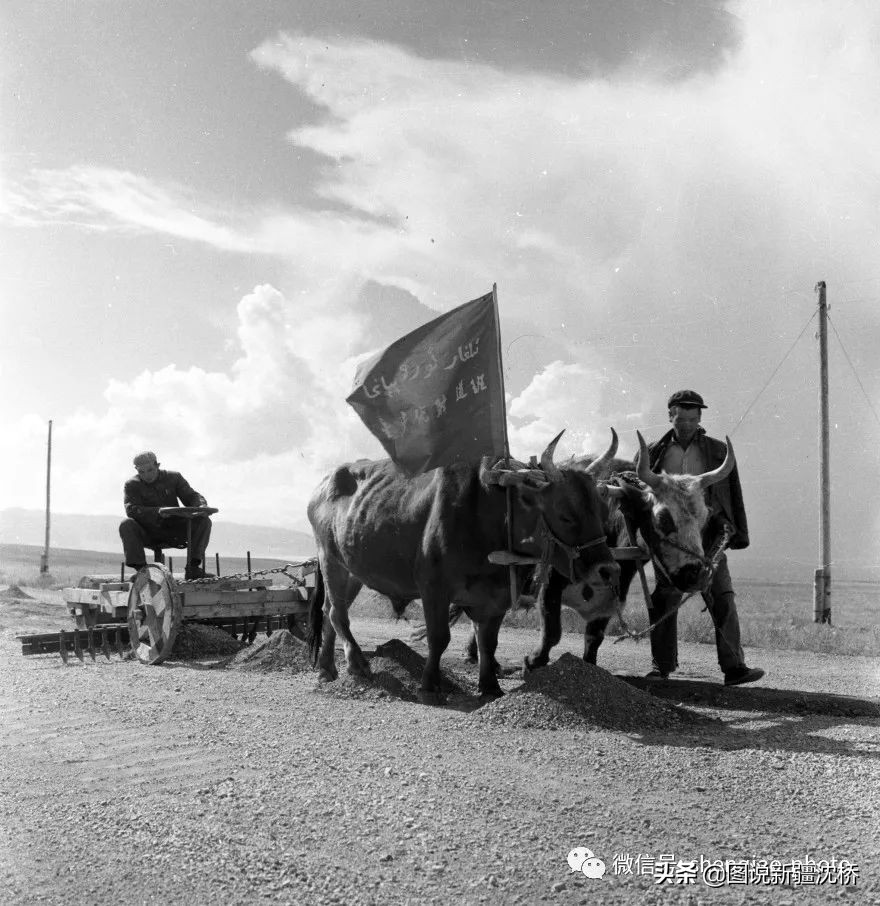 70周年摄影作品欣赏,七十周年摄影作品图片展
