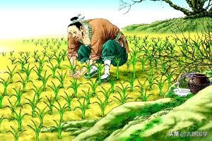 成语辨析题大全集,成语辨析题目及答案