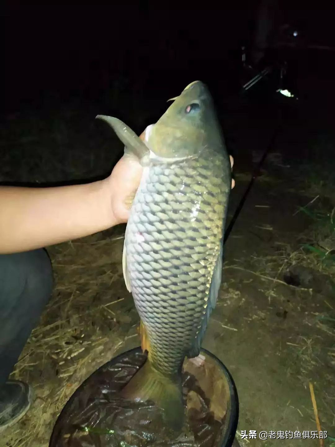 七年前初次相见,七年前的第一次相遇