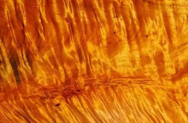 珍藏50年金丝楠现场开料，切出薄如纱的一块，众人瞬间沸腾！