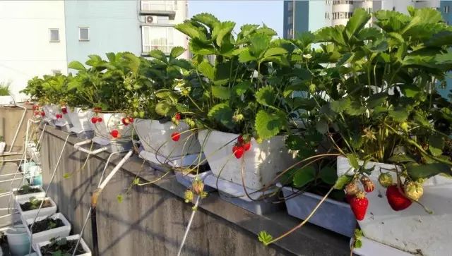 二培箱安装详解,底箱安装步骤示意图