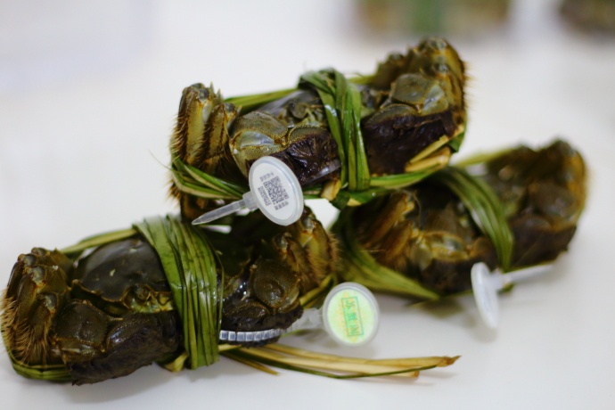 螃蟹什么季节好吃有肉,这个季节吃什么螃蟹能吃到新鲜的