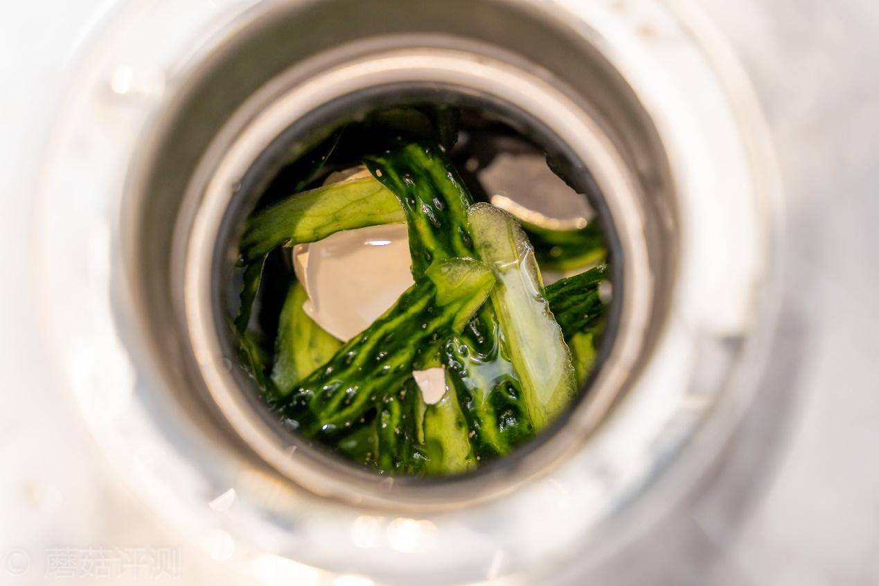 厨余垃圾处理器有用吗,中国家庭适合厨余垃圾处理器吗