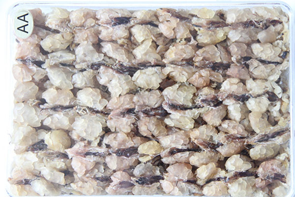 纯天然雪蛤图片,东北雪蛤红肚皮和黄肚皮