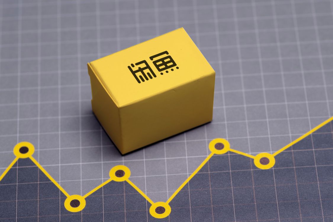 过完双11，我去闲鱼当二道贩子