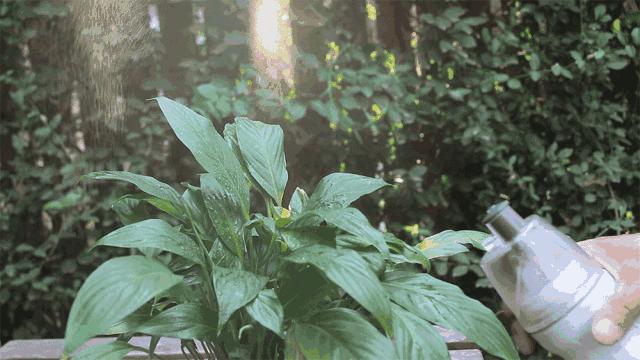 旅行必备好物遛娃神器,海边遛娃神器