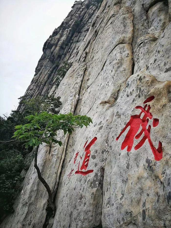 嵩山少林寺塔沟武校,嵩山少林寺文武学校