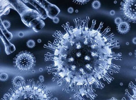 乙肝病毒会引起肾脏疾病吗,乙肝病毒属于慢性疾病吗