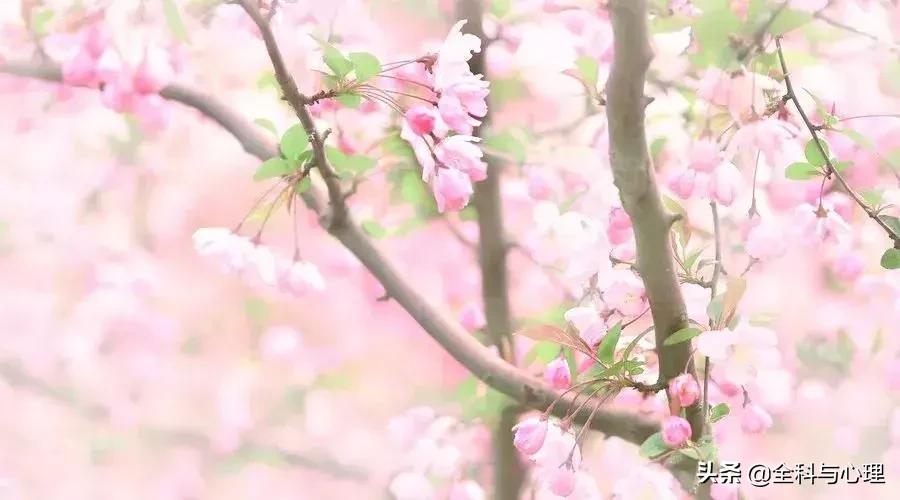 经常用到的百科知识你都知道了吗,百科常识总结大全