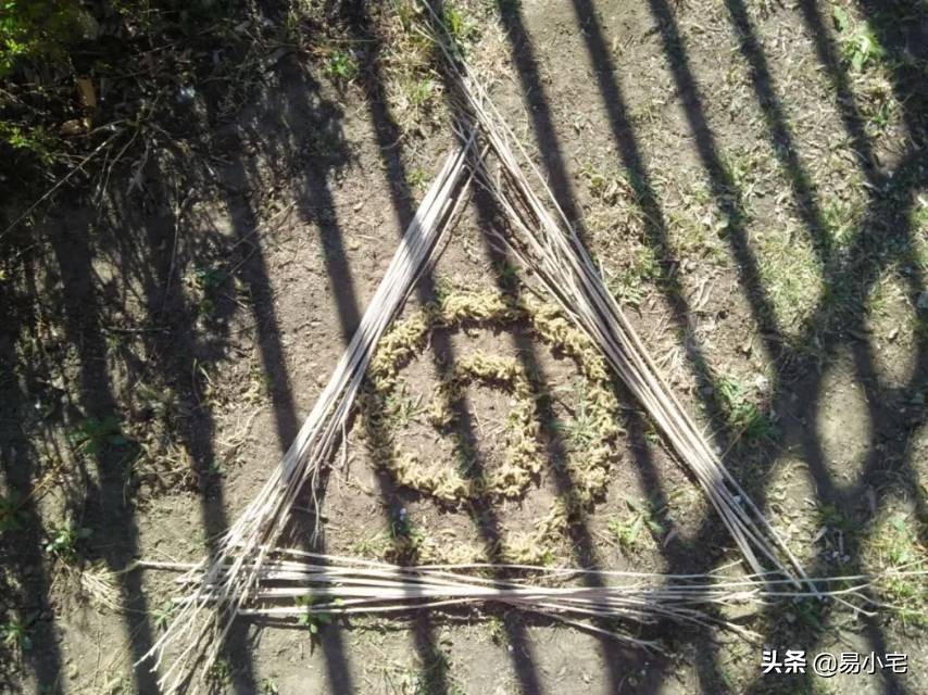 阿土｜荒野生活/从城市白领到山中野人