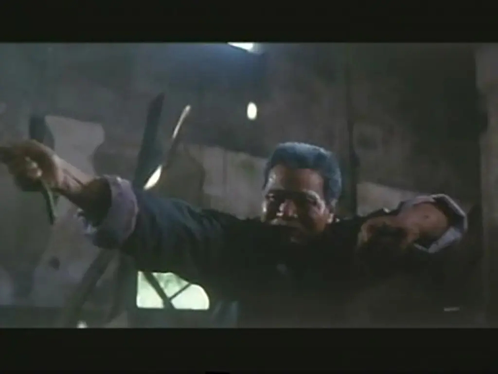 《力王》，《人蛇大战》你还记得那些“少儿不宜”的电影吗？