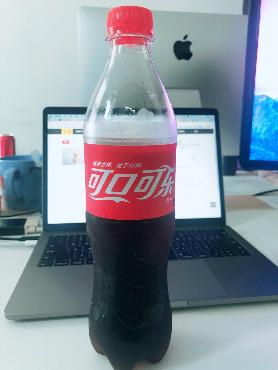 怎么改掉狗狗不爱喝水的坏习惯,狗狗不爱喝水如何引导狗狗喝水呢