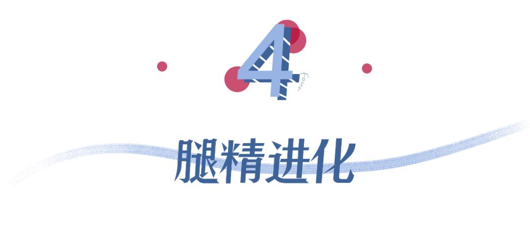 女团身材马甲线,女团腿马甲线