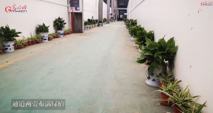 新冠肺炎天价治疗费曝光,新冠肺炎医疗费国家买单