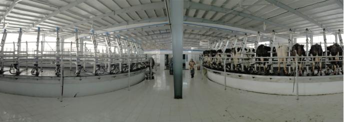 第十届中国国际奶业展览会,国际奶业博览会