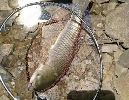 标准的两个钩的距离是多远,1.5到2个钩距是多少厘米